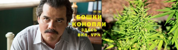 гашик Козловка