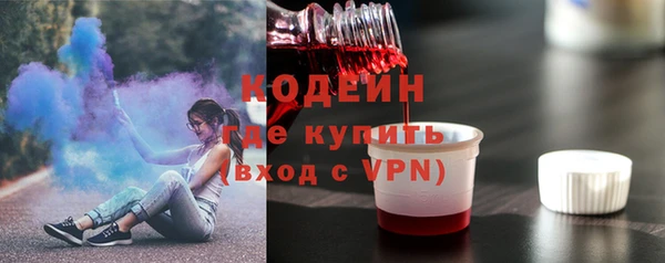 гашик Козловка