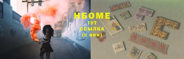 гашик Козловка