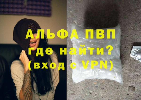 гашик Козловка